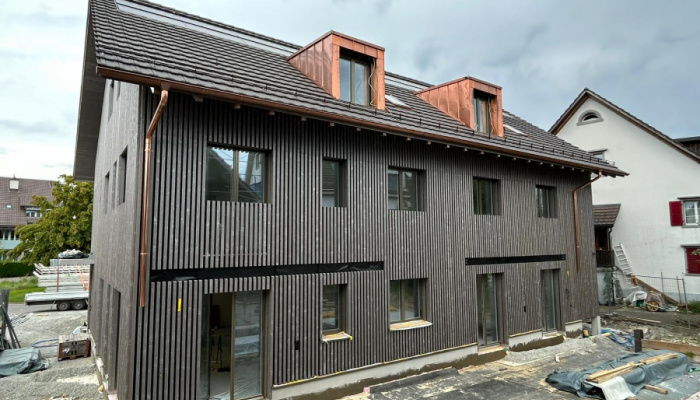 Neubau DEFH und MFH in Nänikon