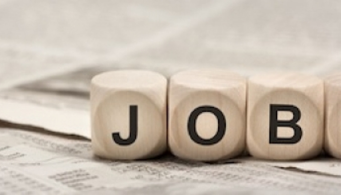 Zimmermann EFZ gesucht